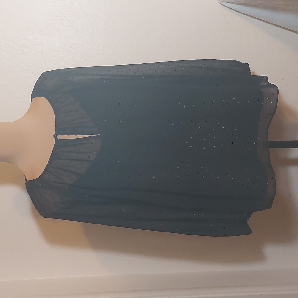 POINT SUR by J. Crew sheer black blouse. Long sleeves. Size M. Like new.